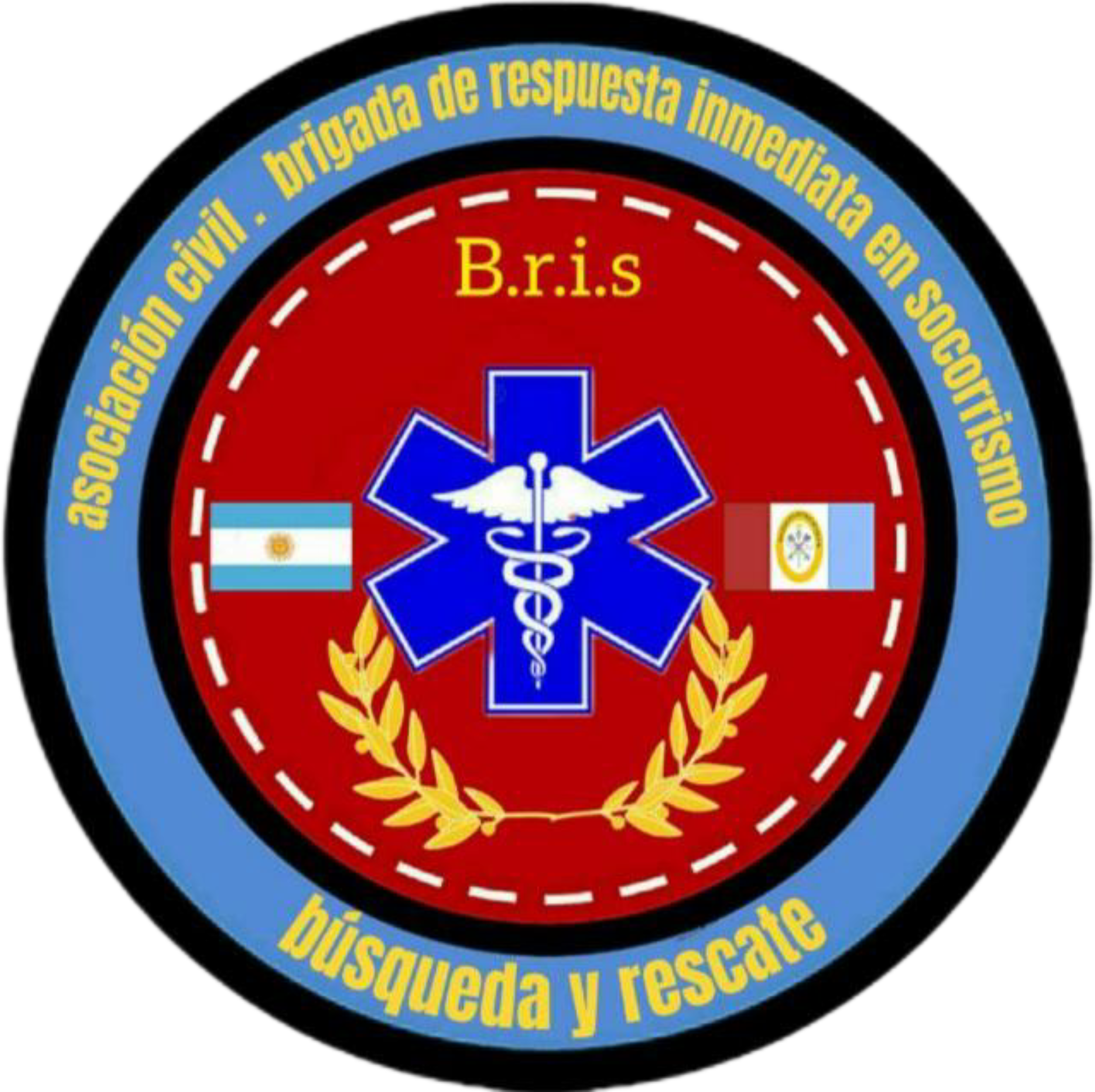 Logo B.R.I.S.